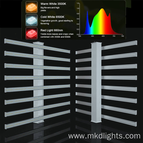 Indoor Plant Seed Starting Best Grow Light Kit